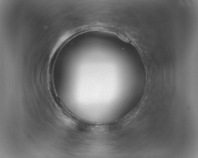 X0000078260102200611172015