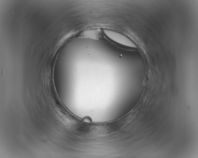 X0000078260107200611172015