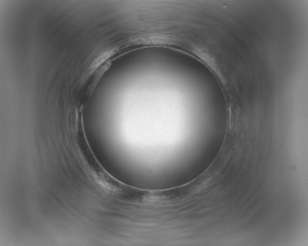 X0000078260109200611172015