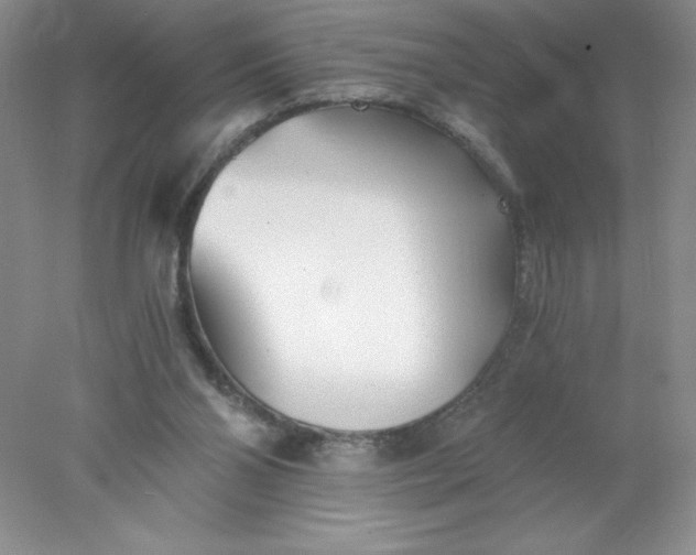 X0000078260110200611172015