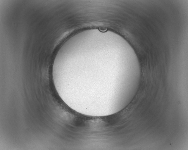 X0000078260112200611172015