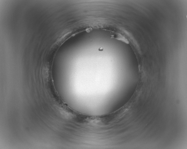 X0000078260113200611172015