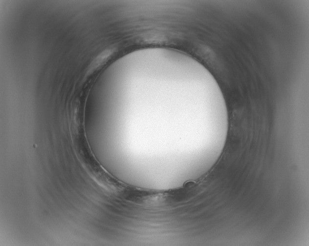 X0000078260116200611172015