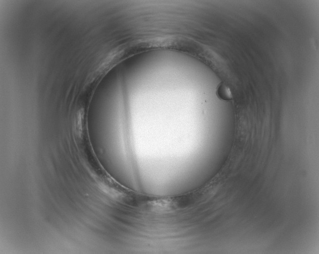 X0000078260118200611172015