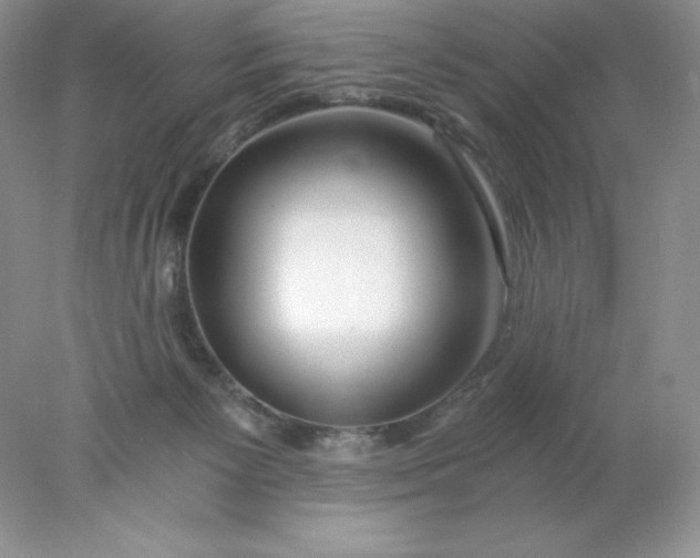 X0000078260125200611172015