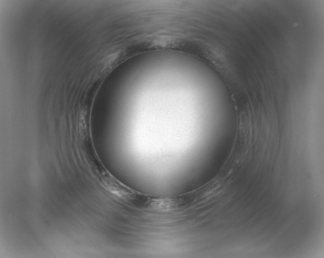 X0000078260127200611172014