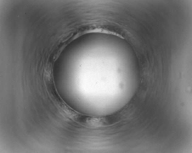 X0000078260129200611172014