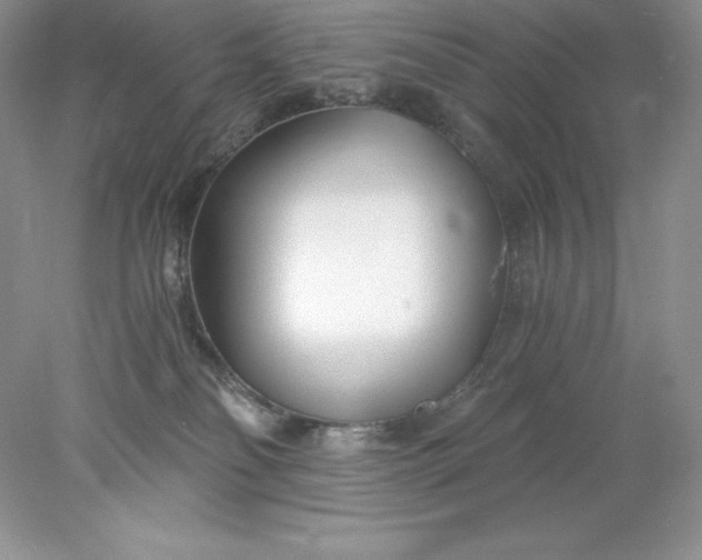 X0000078260134200611172014