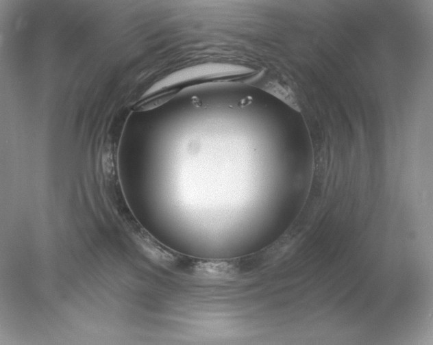 X0000078260137200611172014