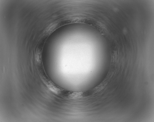 X0000078260138200611172014