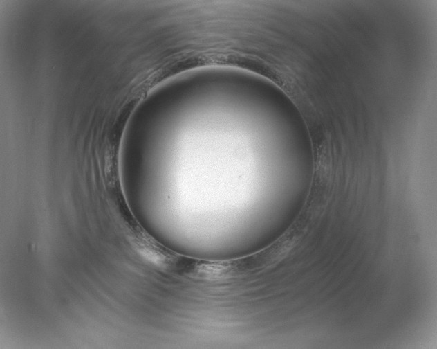 X0000078260139200611172014