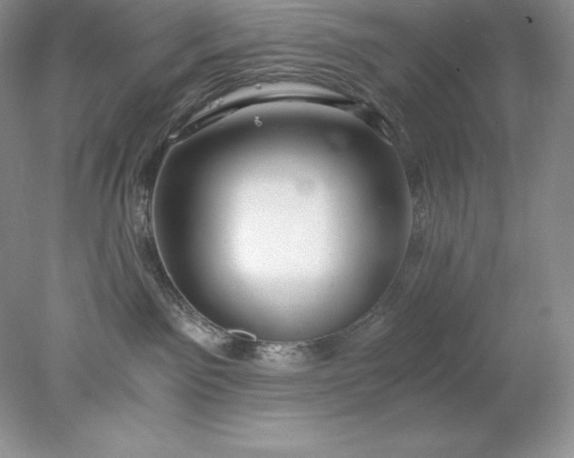 X0000078260141200611172014