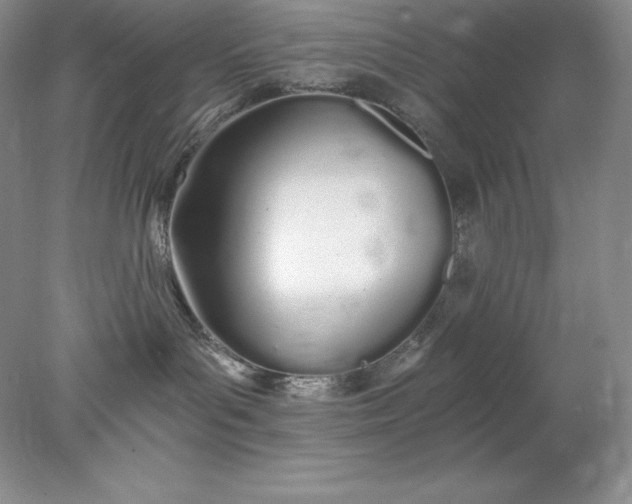 X0000078260143200611172014