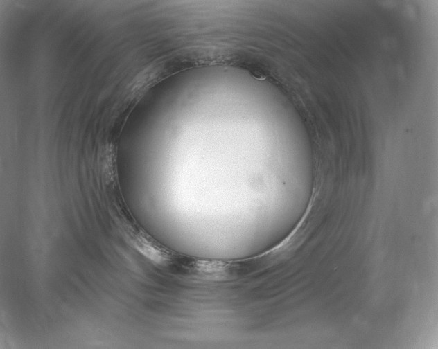 X0000078260144200611172014