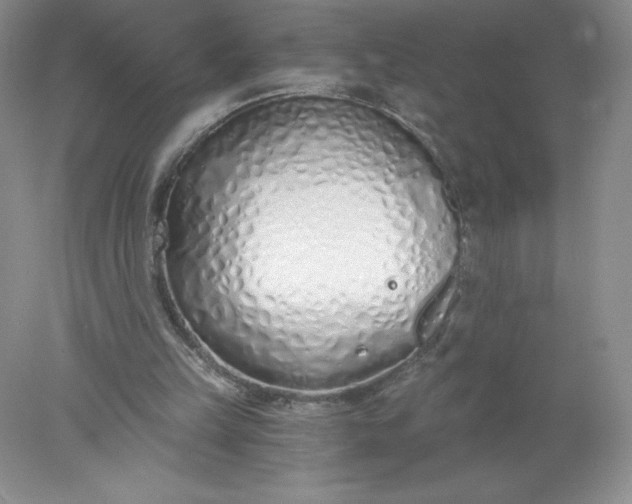 X0000078260149200611172013