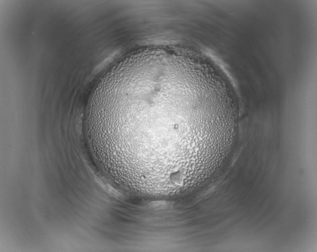 X0000078260153200611172014