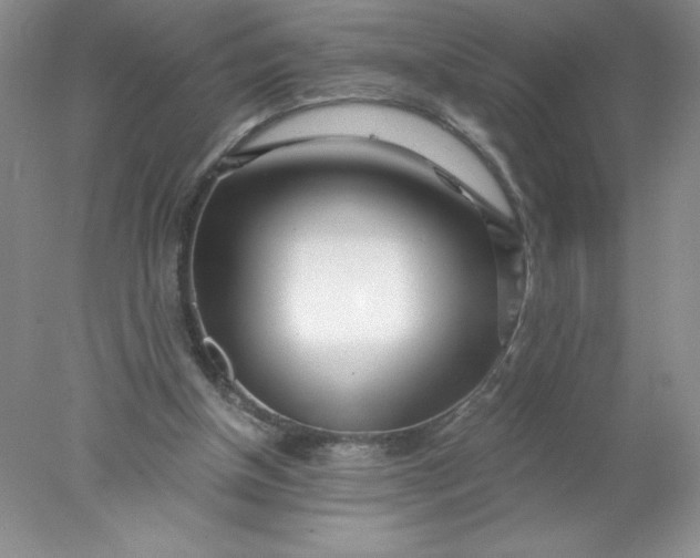 X0000078260154200611172014