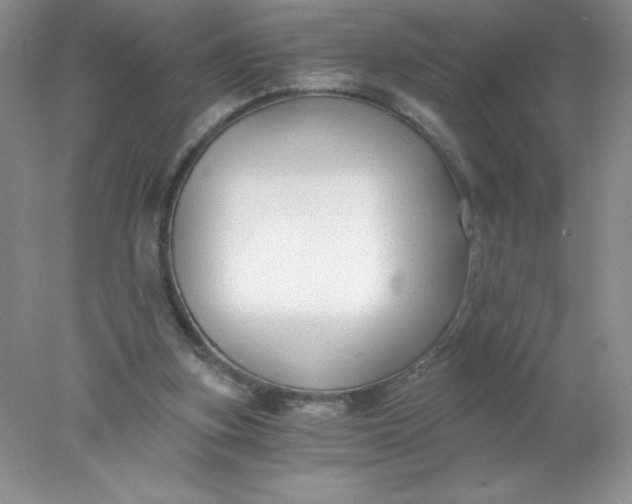 X0000078260155200611172014