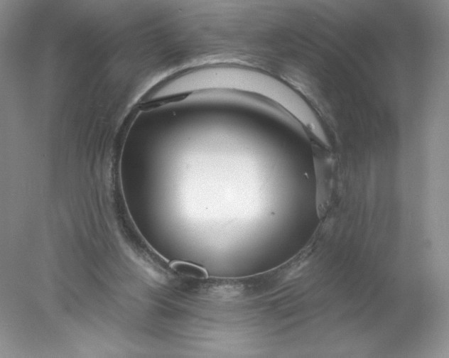 X0000078260156200611172014