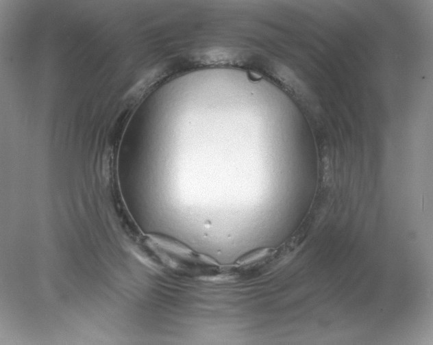 X0000078260165200611172014