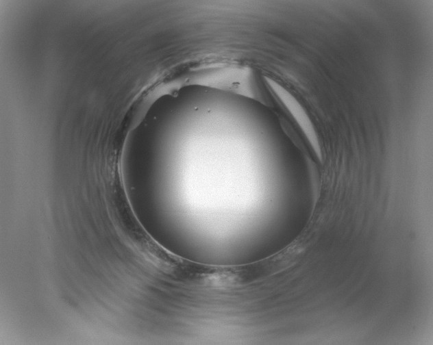 X0000078260168200611172014