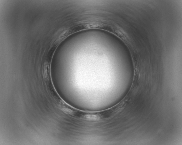 X0000078260169200611172014