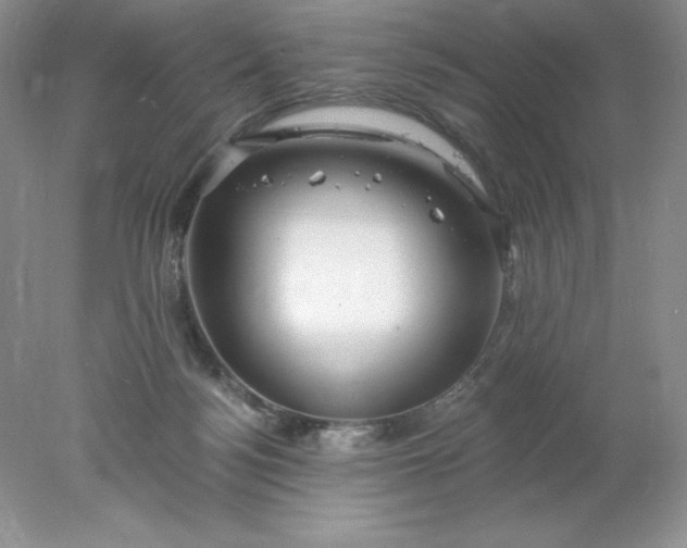 X0000078260172200611172014