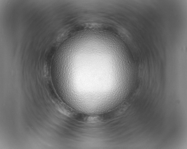 X0000078260173200611172014