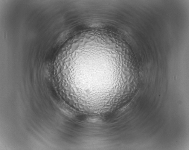 X0000078260175200611172014
