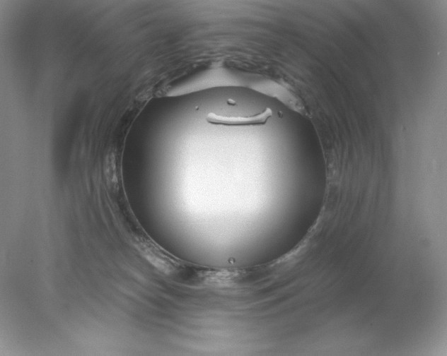 X0000078260182200611172014