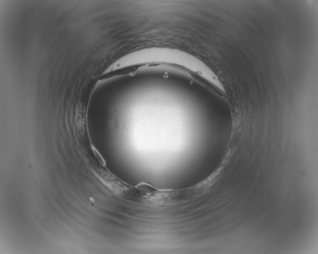 X0000078260186200611172014