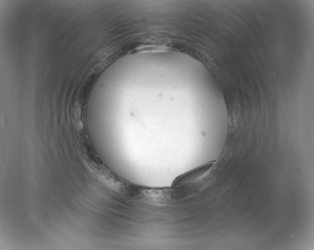 X0000078260187200611172014