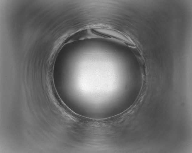 X0000078260193200611172013