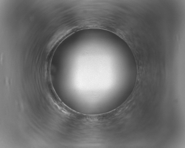 X0000078260194200611172013