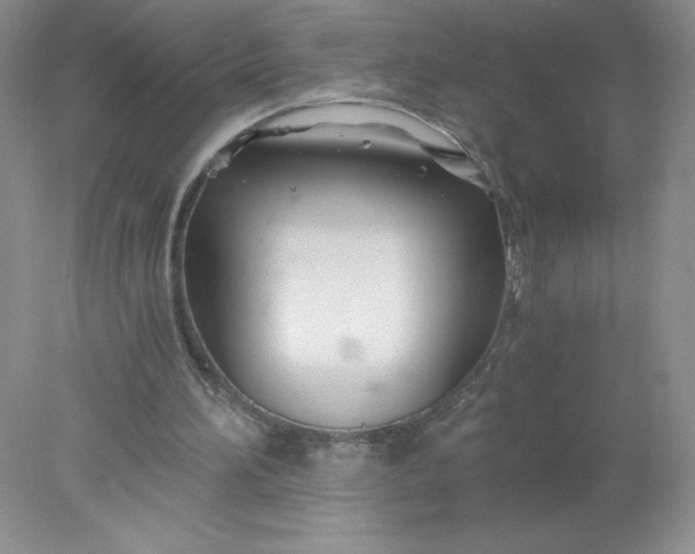 X0000078260196200611172013