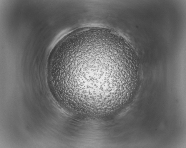 X0000078260199200611172013