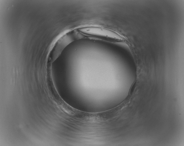 X0000078260200200611172013