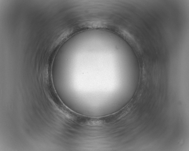 X0000078260202200611172013