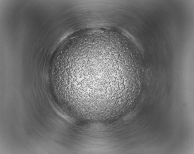 X0000078260203200611172013