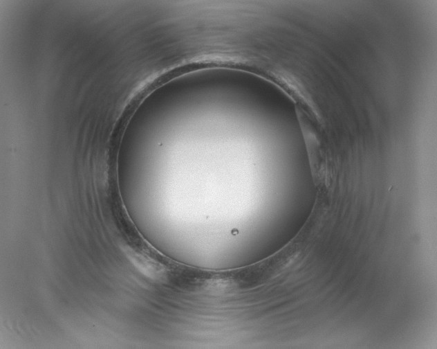 X0000078260204200611172013