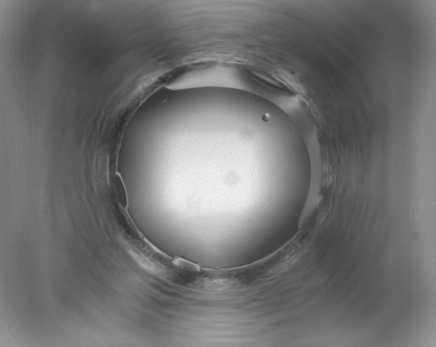 X0000078260205200611172013