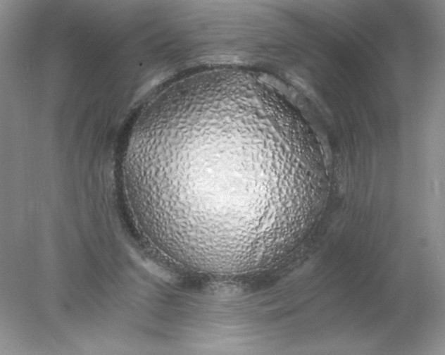 X0000078260207200611172013