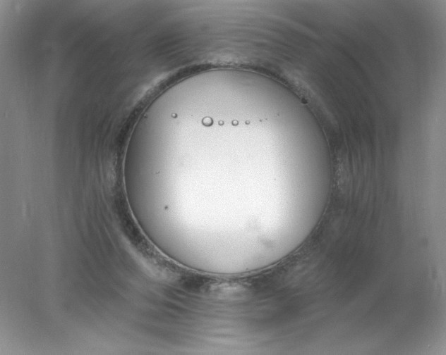 X0000078260208200611172013