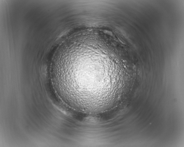 X0000078260211200611172013