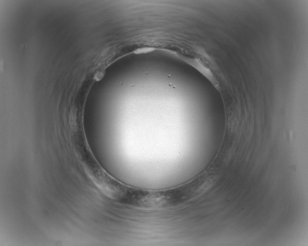 X0000078260213200611172013