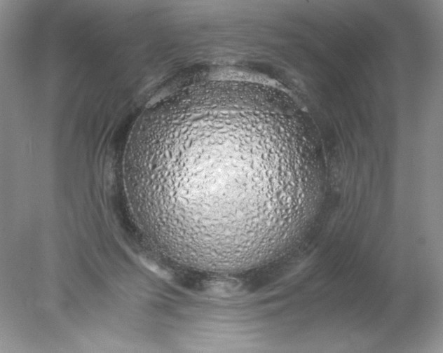 X0000078260215200611172013