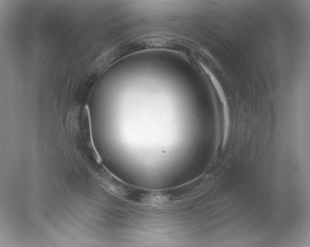 X0000078260217200611172013