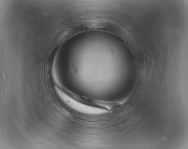 X0000078260219200611172013