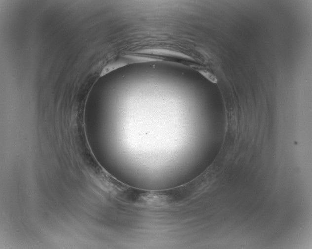 X0000078260221200611172013