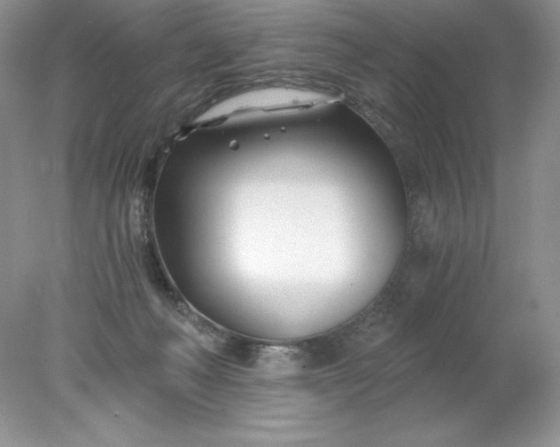 X0000078260222200611172013